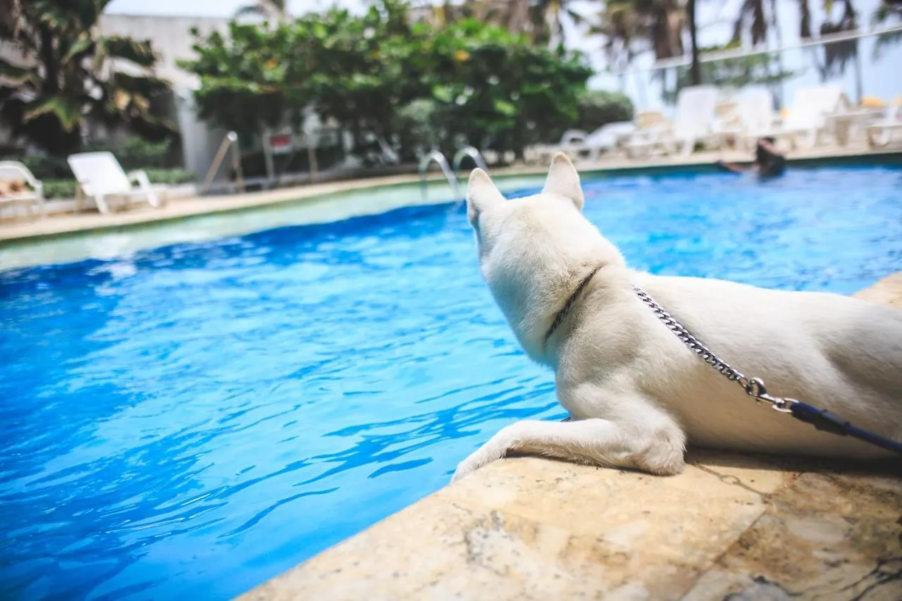 Hotel Playa Club Cartagena 3*,  Colombia