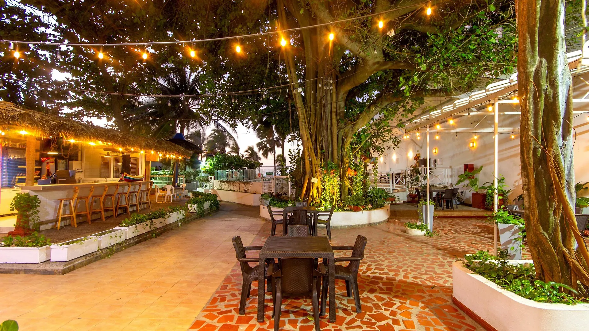 Hotel Playa Club Cartagena